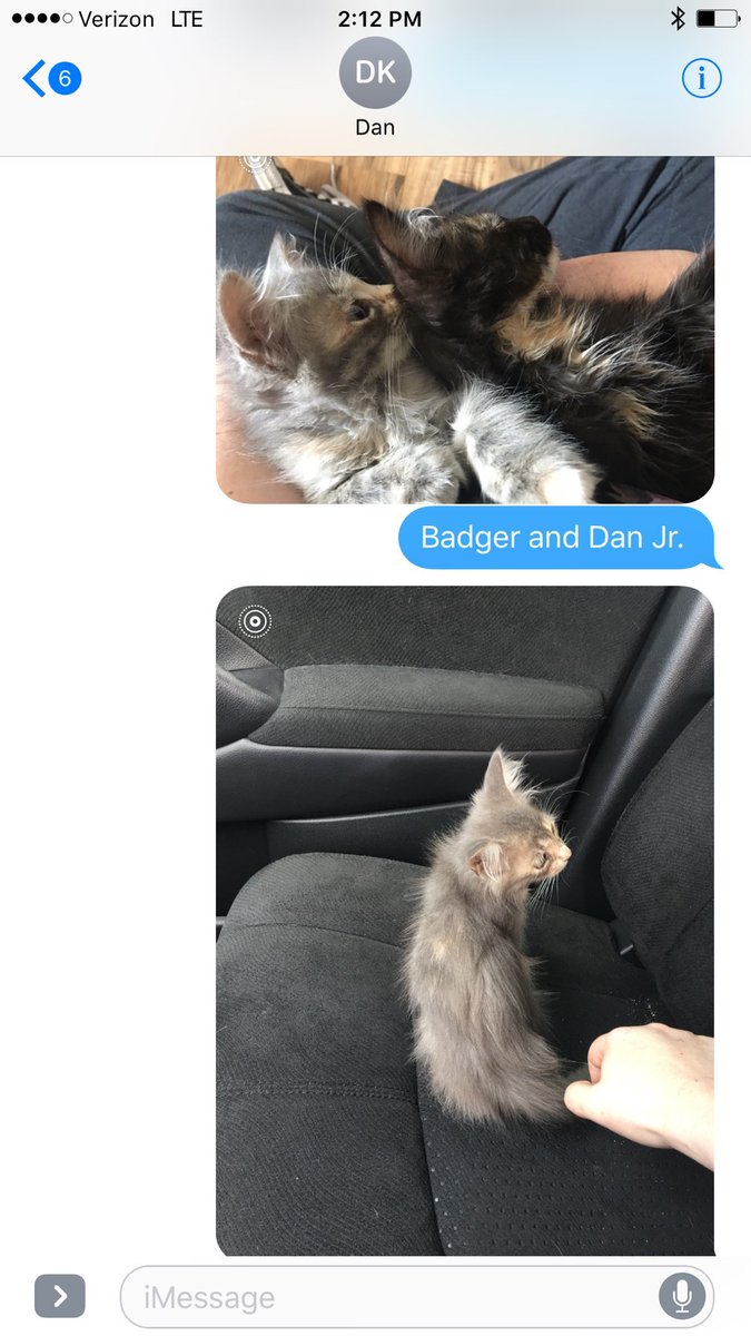 NvincbleSummer's tweet photo. Let's all happily remember that time I made Dan think I got a kitten #DanJr https://t.co/5XX0XZgKjB