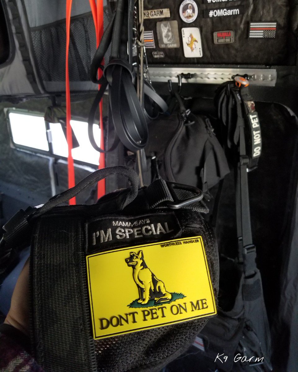 K9Garm's tweet photo. Feels good to be back in his vest especially with these two new patches we love from #mwdtsa and #worthlesshandler and of course awesome nametapes from @Love4PoliceDogs (excuse the mess of the #MooseMobile) #K9Garm #SARK9 #dogsoftwitter #dog #dogs #gsd #moosedog #FaMoose https://t.co/OrgbSxUNVA