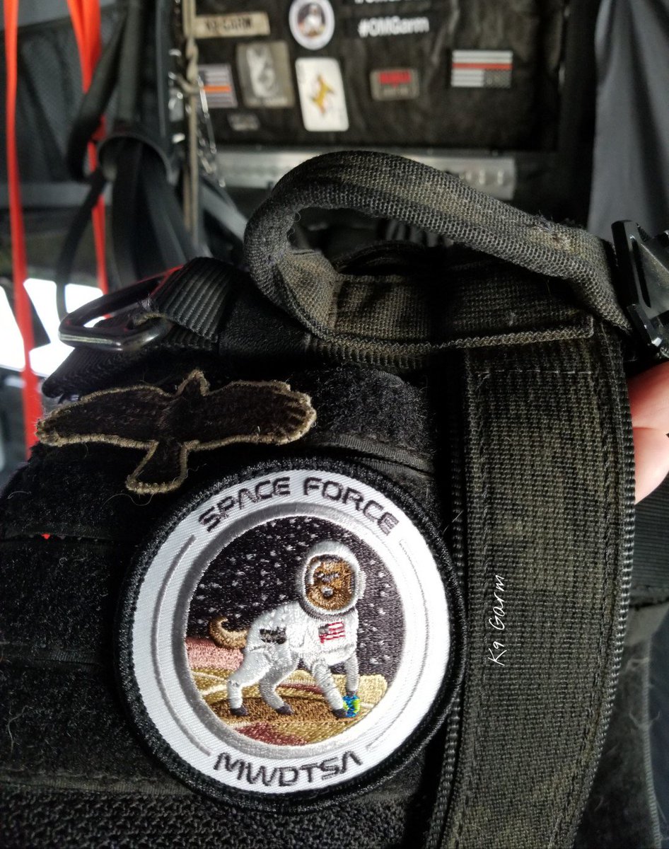 K9Garm's tweet photo. Feels good to be back in his vest especially with these two new patches we love from #mwdtsa and #worthlesshandler and of course awesome nametapes from @Love4PoliceDogs (excuse the mess of the #MooseMobile) #K9Garm #SARK9 #dogsoftwitter #dog #dogs #gsd #moosedog #FaMoose https://t.co/OrgbSxUNVA