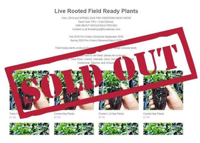 We've had another stellar season with our field ready hop plants. Our last order was just made and totally wiped us out. With that said, we've completely SOLD OUT of our field ready plants!

And if you've missed out, we'll open up ordering soon.

Cheers,… ift.tt/305E21u