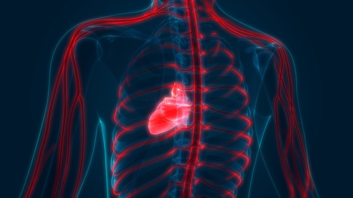 AvertixMedical's tweet photo. Healthy Living: Heart disease #1 killer of women, according to the American Heart Association via @Q13FOX https://t.co/fL8I5F7f7s #heartdisease #heartattack #hearthealth #AngelMed https://t.co/7yojEaNHsj
