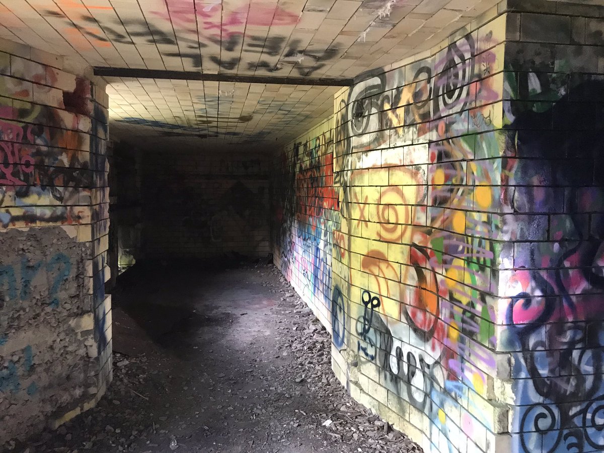 laceyloves2hike's tweet photo. Here’s a few more from #FortWetherill #RhodeIsland #hikingadventures #laceyTheDog #followthedog #Twit_byDog360 #ocean #views #graffiti #exploremore #explorerdog 💕🐾 https://t.co/ZblFL5gBEq