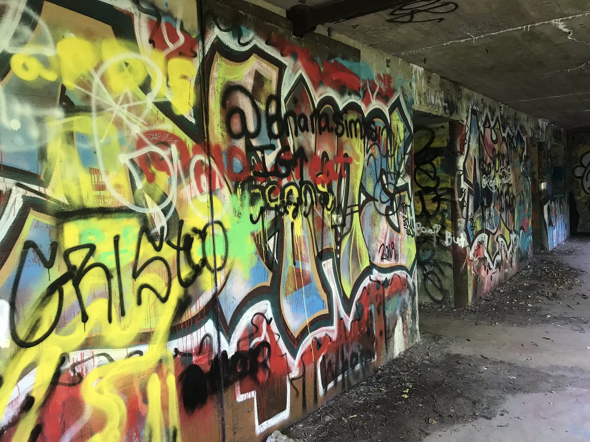 laceyloves2hike's tweet photo. Here’s a few more from #FortWetherill #RhodeIsland #hikingadventures #laceyTheDog #followthedog #Twit_byDog360 #ocean #views #graffiti #exploremore #explorerdog 💕🐾 https://t.co/ZblFL5gBEq