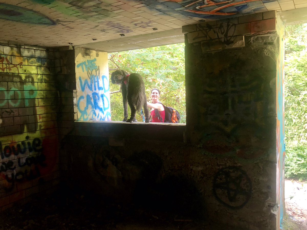laceyloves2hike's tweet photo. “The Doggie in the Window” #FortWetherill #graffiti #ruins #explorerdog #outdoors #different #day #funtimes #dogdays #DogLife #dog #puppy #awesomeness https://t.co/D2Pi2Mp3ft