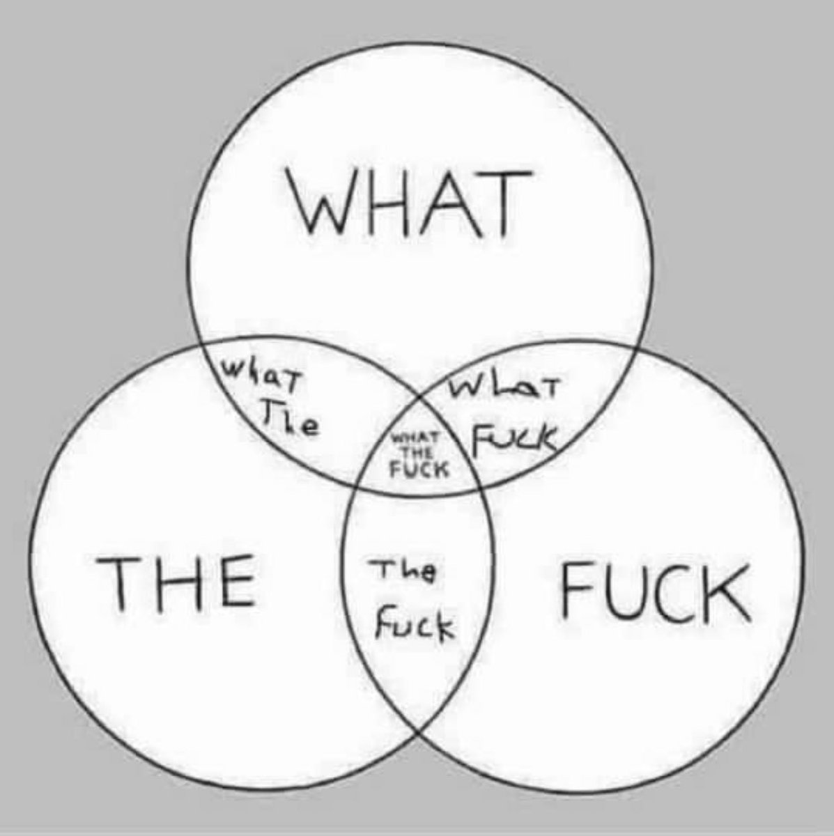 visualg7's tweet image. 