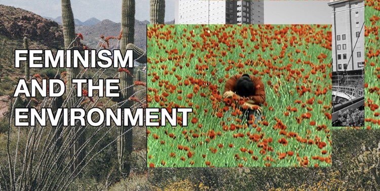 FeministAction's tweet photo. Come join Feminist Action Project for our meeting this Wednesday at 7 in the GSC (SAC 2.112) where we'll discuss the theme of our Fall 2019 zine: Feminism and the Environment! https://t.co/jLQzc2SNYh