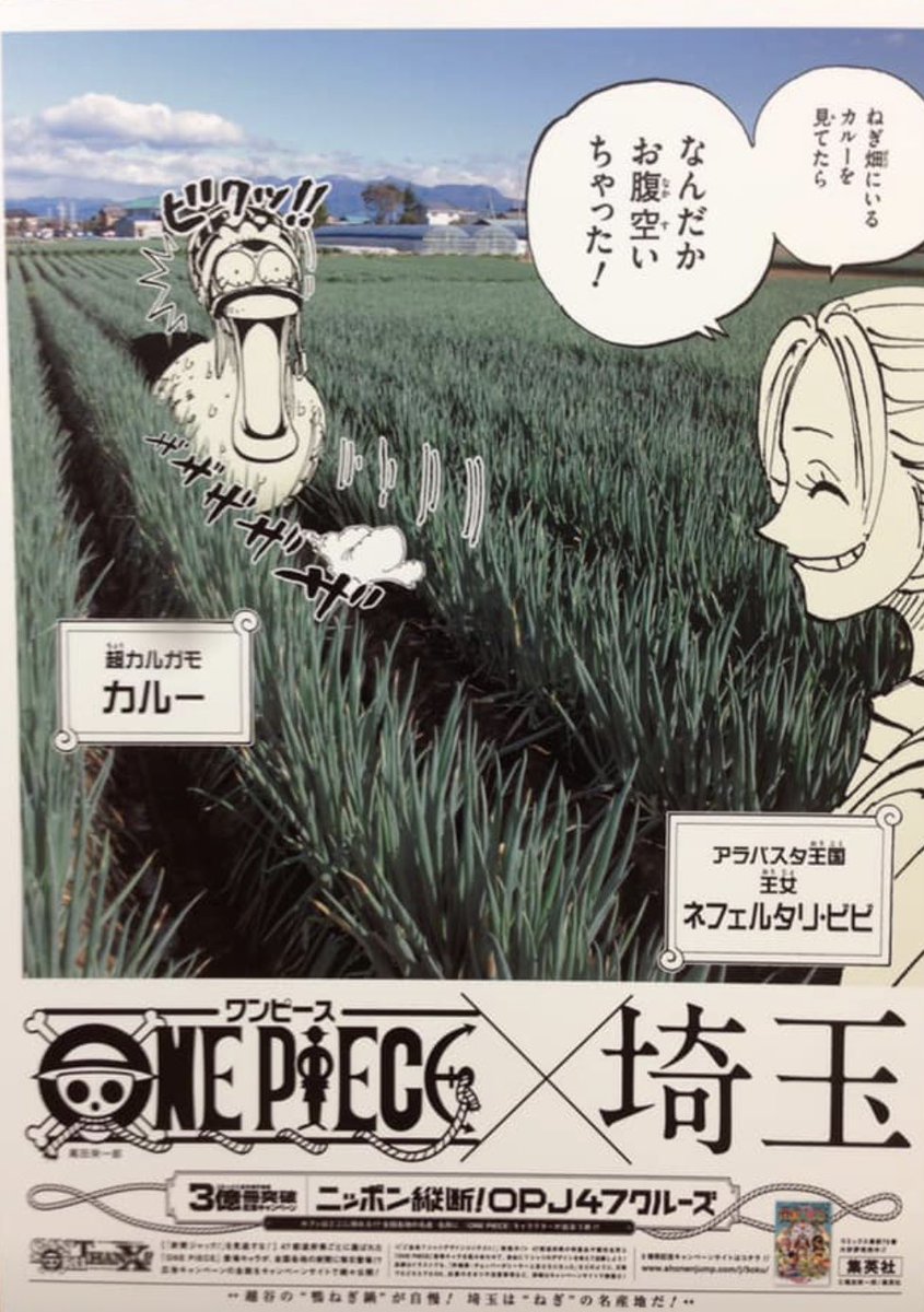 ひろかず あなたの住んでるところはどこですか One Piece都道府県別ポスター Onepiece ワンピース