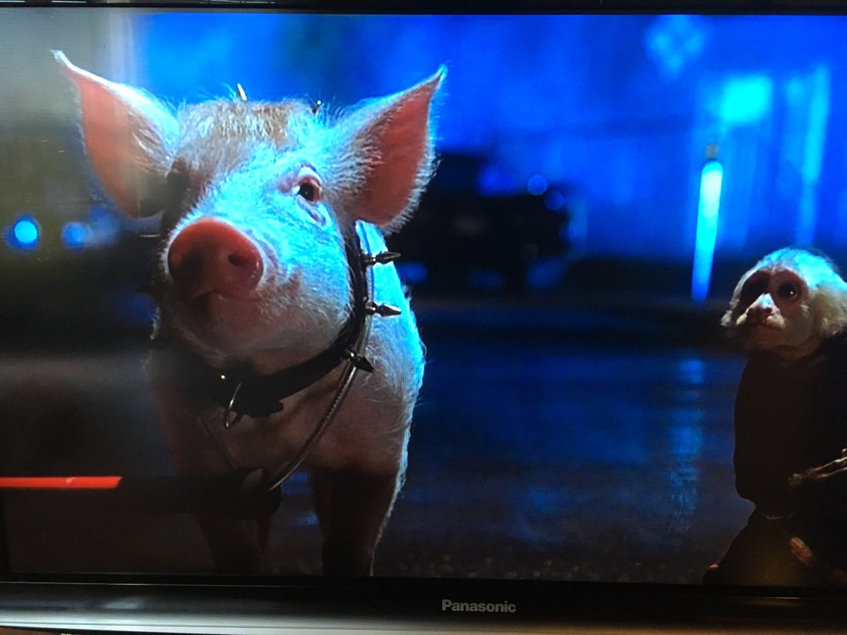 ファンシー中村ラ ベイブ 都会へ行く 1998年 オーストラリア アメリカ の主題歌 この曲がとにかくいい そしてこれはあの名作 マッドマックス 怒りのデスロード のジョージ ミラー監督の映画だ 思えば脚の不自由な犬に車輪付けたり ベイブに