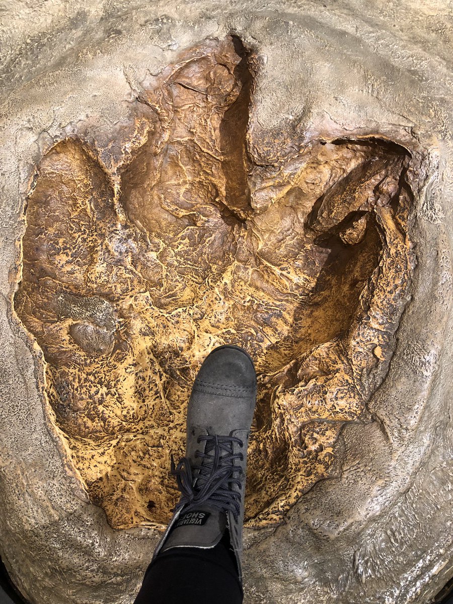 Boardgame_girl1's tweet photo. When I need a pick me up, I visit #dinosaurs

I mean, Look at that Dino!

Really nice visit with the Sue mimic &amp; the real Cliff this afternoon. They have big footprints to fill! ♥️🦖

And I always love hugging the giant Rose Quartz in the @museumofscience rock garden.

#FindZen https://t.co/Td6lZb4D6S