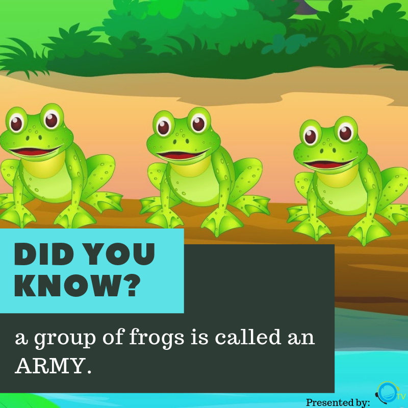 outboundersTV's tweet photo. Did you know? 🤔
#BPO #CallCenter #CSR #Telemarketing #PhilippineBPO #Outsourcing #BPOProvider #CostEffectiveOutsourcing https://t.co/uNMW1SXmvu