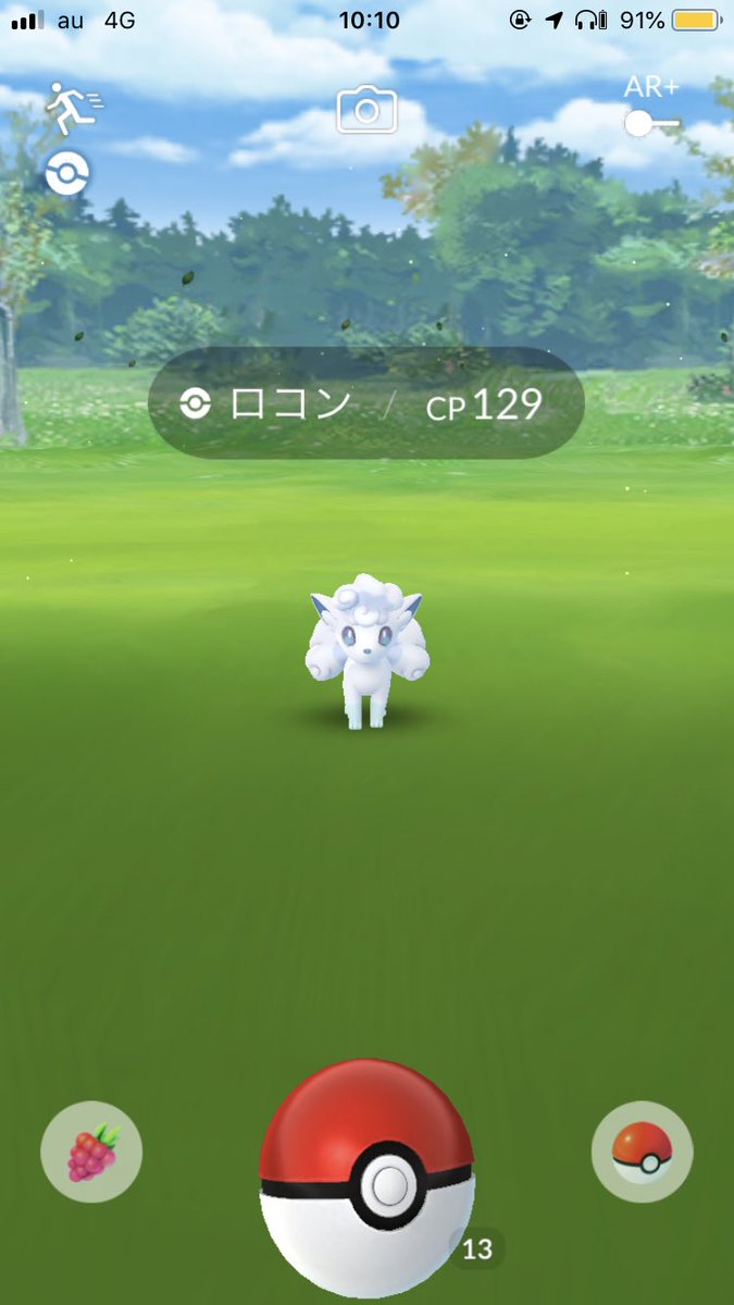 野生のアローラロコン