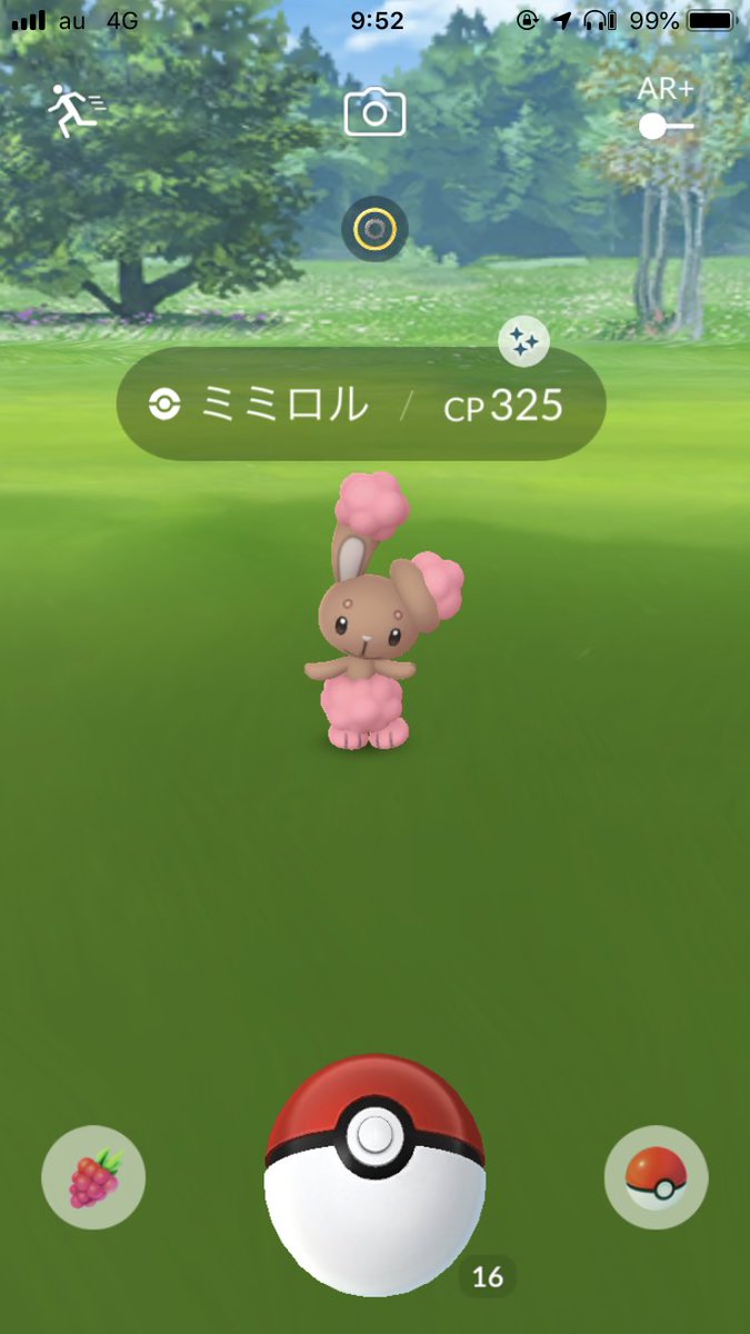 野生のアローラロコン