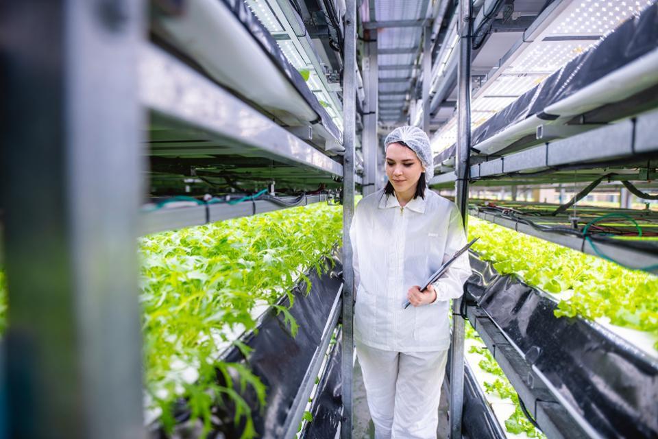 MaryPavan's tweet photo. The #BioBelt project is that kind of brilliant idea (by 
@johncumbers @SynBioBeta) that can really change the course of how things are thought and made AND AND AND can be applied to other countries. Stay tuned for the #Portuguese version of the article: 

https://t.co/cwOXpjOJOf https://t.co/SDPspTnpSl