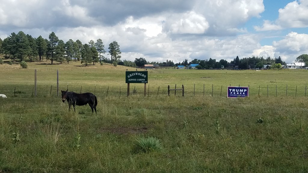 cindycasaus's tweet photo. Great seeing support for @realDonaldTrump in beautiful Alpine this weekend! #LeadRight #AZ #AlpineAZ 🇺🇸🐘🇺🇸 https://t.co/RMavdYwoPM