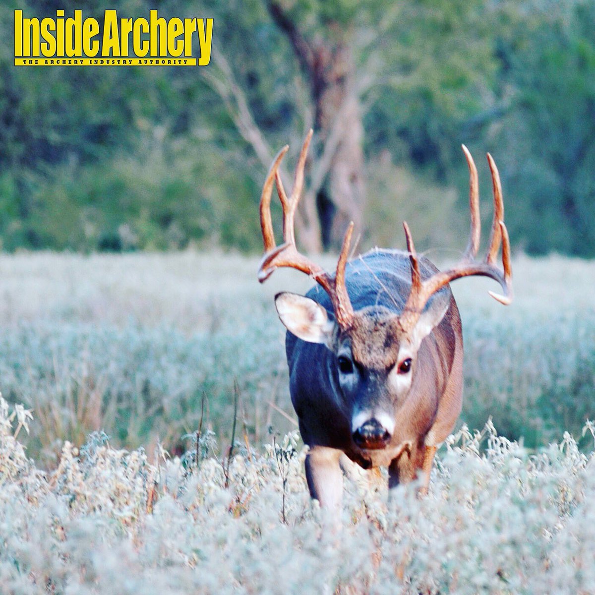 InsideArchery's tweet photo. When does the season open for you? #bowhunt #hunting https://t.co/5qxk2ja4OG