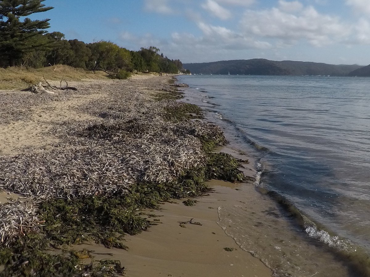 Blake Moon tweet media