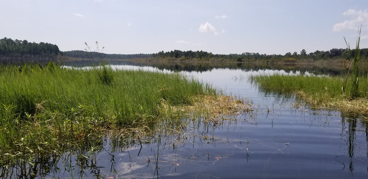Beautiful here in Silver Springs, Florida