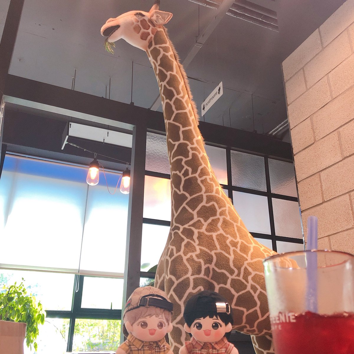 daisom_'s tweet photo. 기린친구 앞에서 콩알같은 미니둘 https://t.co/zekn4Ywpi2