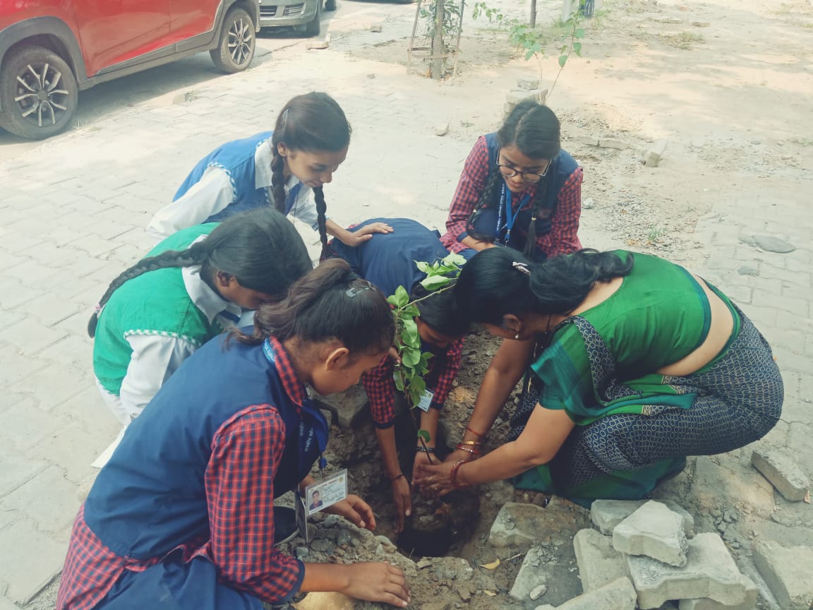 SanghiSwati's tweet photo. To care for plants,trees,soil,#nature,to treat #animaks as living,is the greatest lessons we can give them;after all they are the inheritors of this #world and all this #creation! https://t.co/iqkzLbVOwd