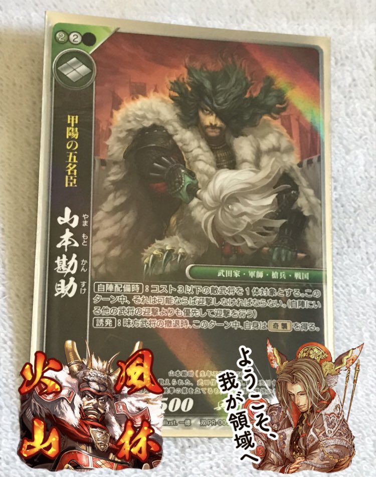 今日という特別な日までに入手できてよかった。山本勘助の命日。 今