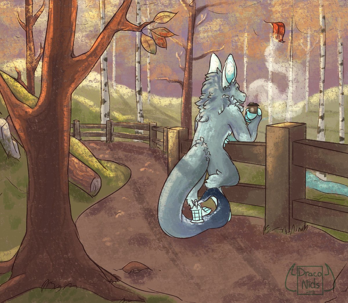 Drakey 🌟🌙 tweet media