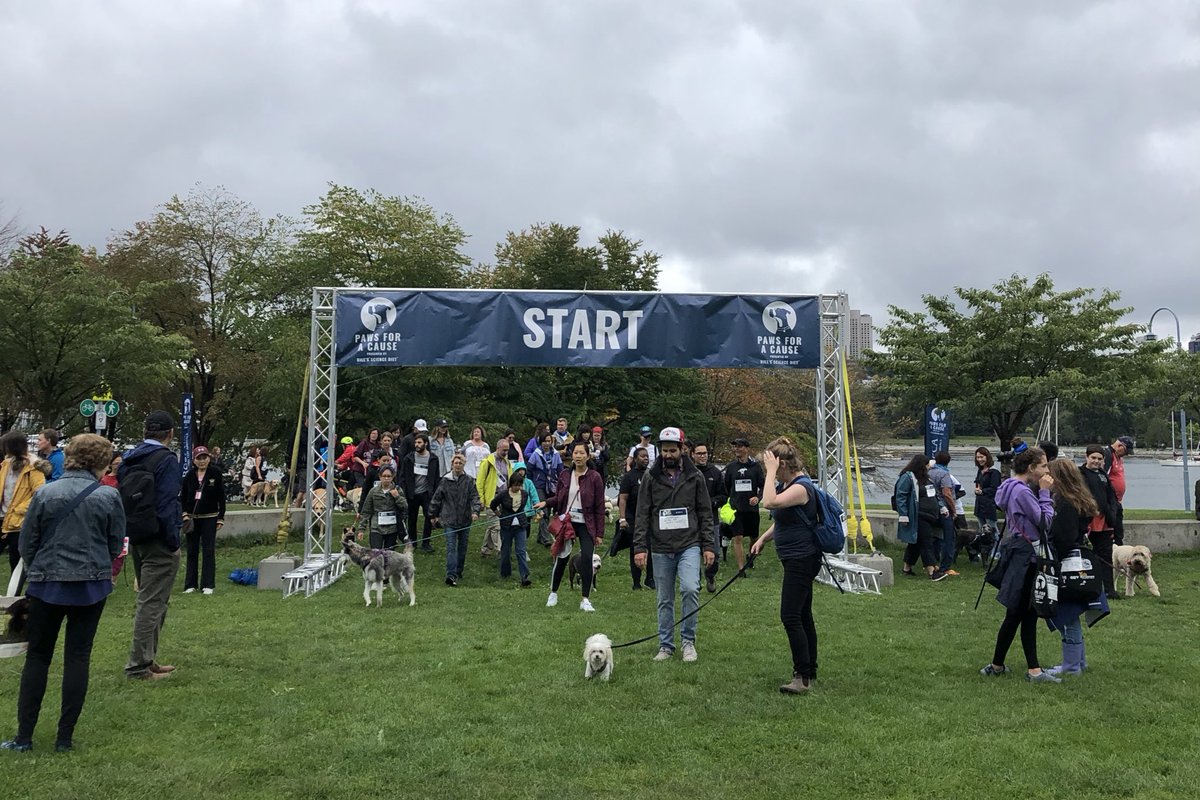BC_SPCA's tweet photo. A huge thank you to @Petsecure for supporting Paws for a Cause walks across B.C.! Did you know September is National Pet Health Insurance Month? Check out @Petsecure for more details on how to protect your pet and your bank account! #pawsforbc https://t.co/3aj2ljFIOB