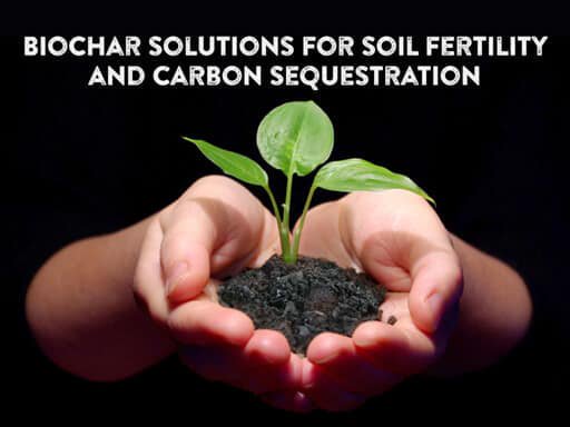 AgribioC's tweet photo. Buy #biochar_fertilizer online from Prime Specialities.
Visit for more info: https://t.co/tgGgfb9axu
#biochar
#biochar_products
#activated_biochar
#biochar_agriculture
#biochar_production_in_India https://t.co/utpg7gbYBu