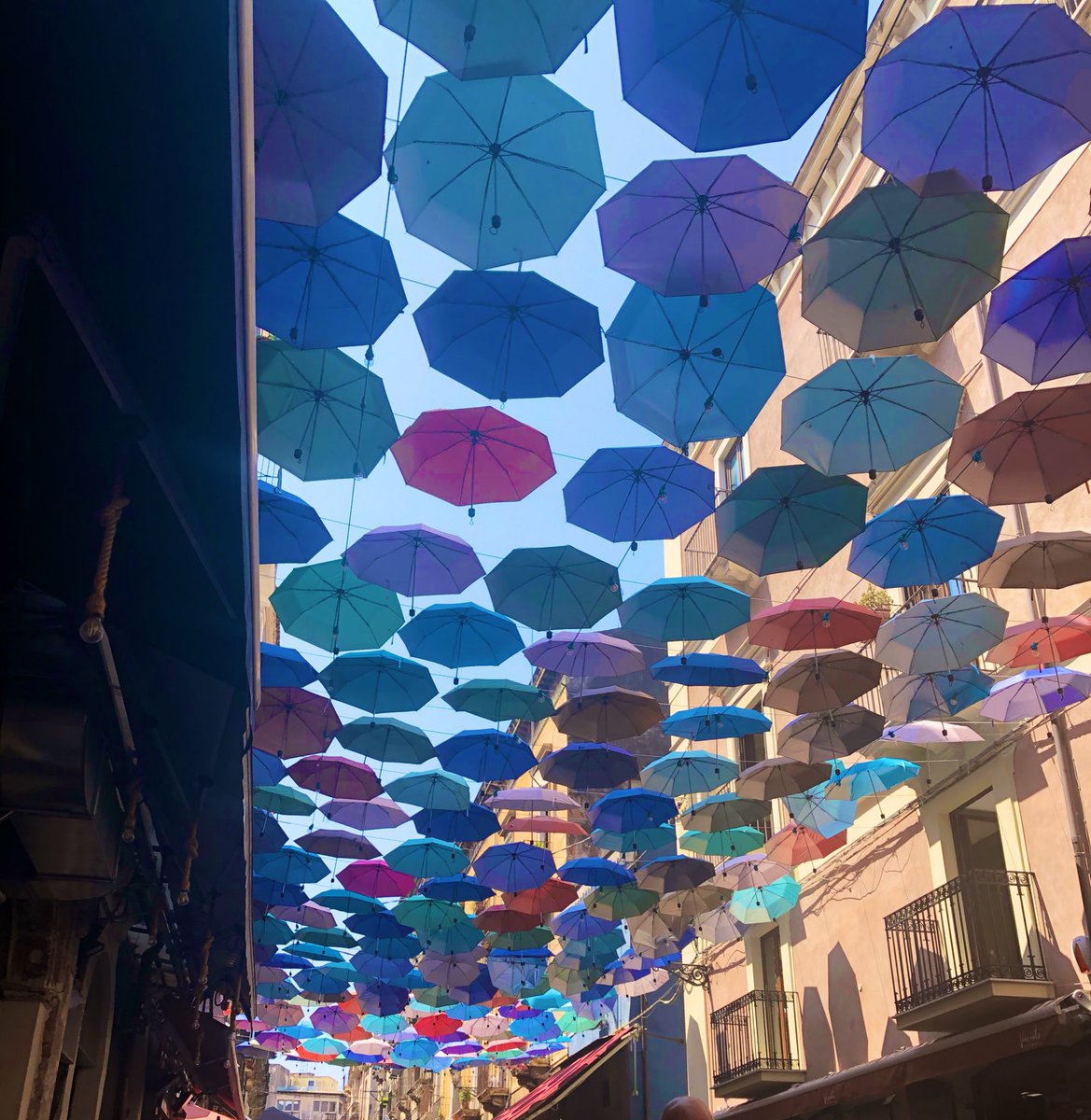 sofiamarie00's tweet photo. Catania, Italy 🇮🇹 https://t.co/IlFn8YTnv8