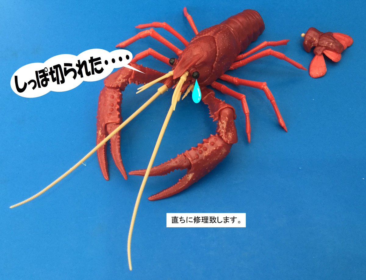 おもちゃ屋本舗 米沢店 on X