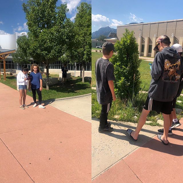 mayer_science's tweet photo. 3rd Pd #CaseyMS Ss try out @inaturalistorg as they collect #biodiversity data. #CitizenScience #CaseyProud #MayerScience https://t.co/4KGdnxY9UV