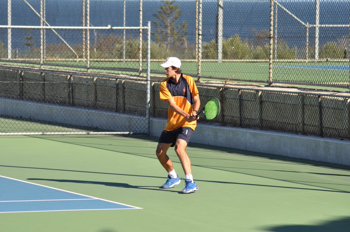 Study & Play USA tweet media