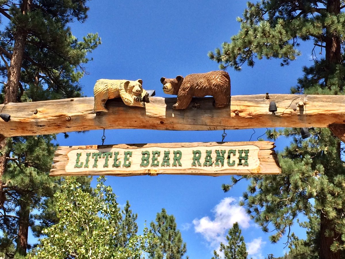 Braverly tweet media