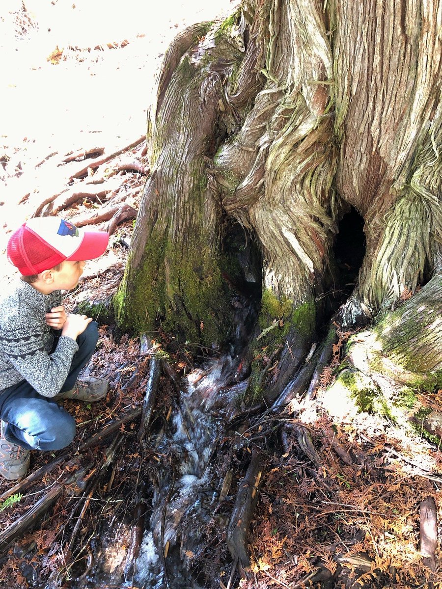 ProteusSciComm's tweet photo. We've got all the feels for our latest piece by a wonderful writer, @kjhchristensen. Read: https://t.co/bUxVCTLJ2B Questioning Nature--Science, parenting, and cultivating a sense of joy and wonder #SciParenting https://t.co/b5cSGhXLKG