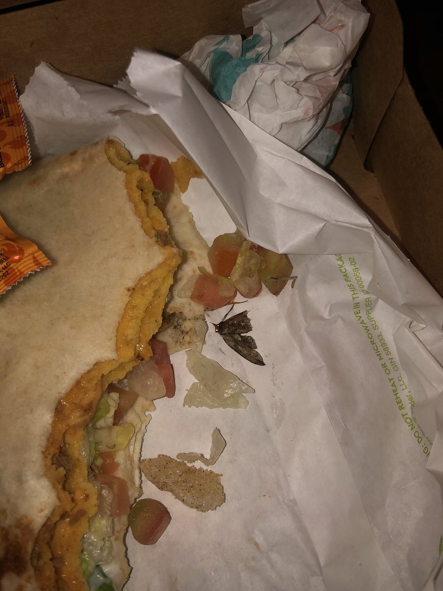 drew_doak's tweet photo. As much as I love Taco Bell, it’s a little gross to find a live bug in my triple double crunch wrap... @tacobell https://t.co/rgrDi3ci4h