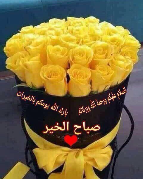 Mmk06906384's tweet photo. @Ss61940014 https://t.co/uO02cGHFXT