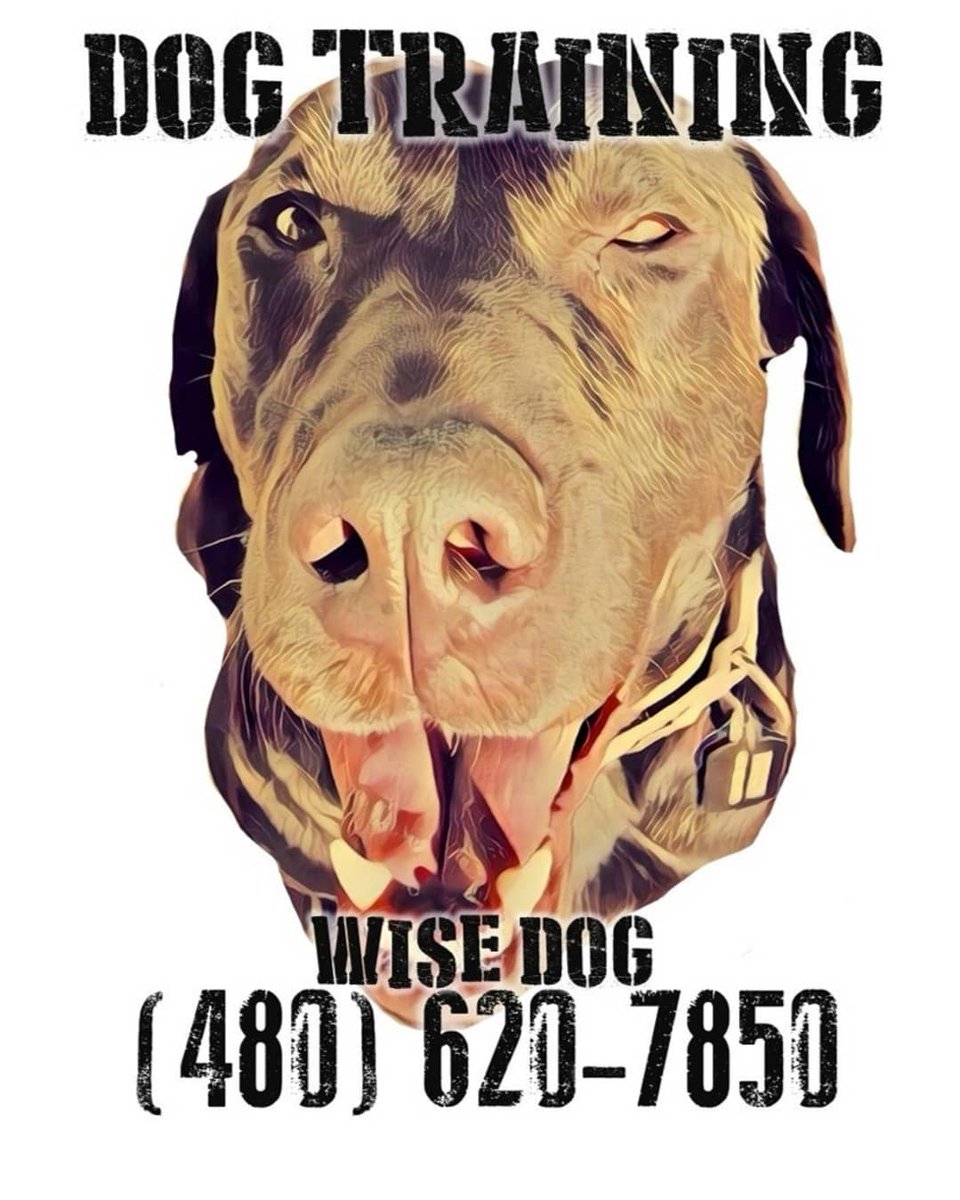 Archangels2007's tweet photo. Welcome aboard #operatordogtraining and #WiseDogsTrainingLLC as our newest supporter for the upcoming Military Ball!
#military #veterans #firstresponde https://t.co/hedSbS8KnW