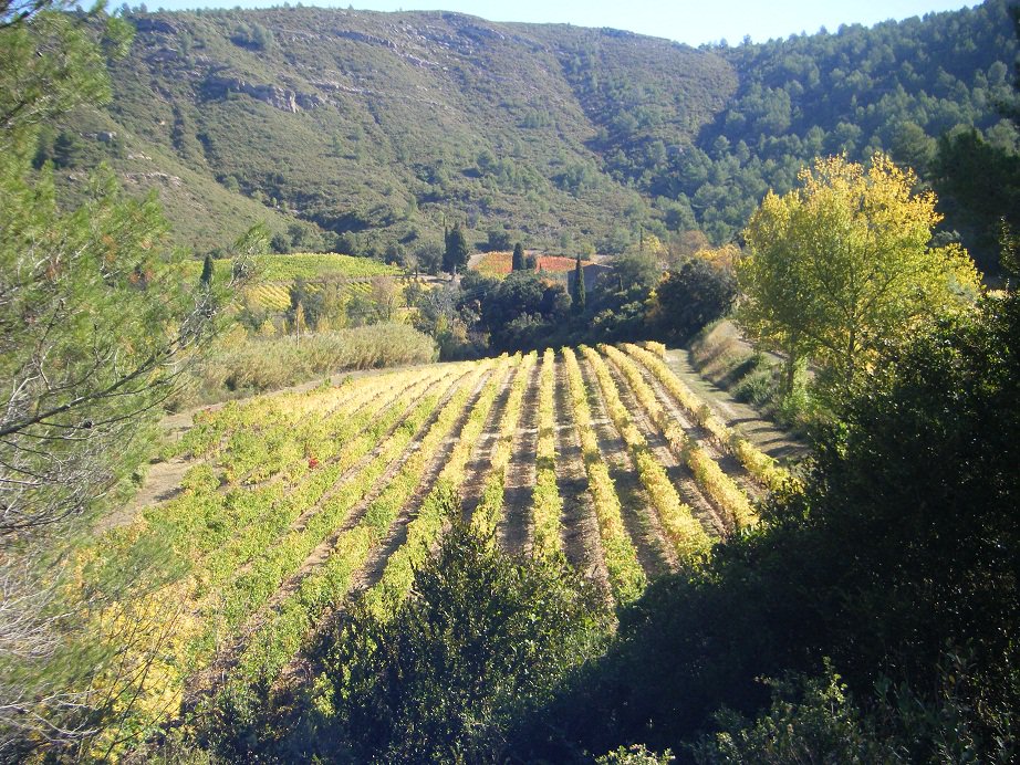 hkwineguild's tweet photo. Wine Tasting: South West Vs South East - https://t.co/VyJcTxRdHE https://t.co/4Kqpll6F7i