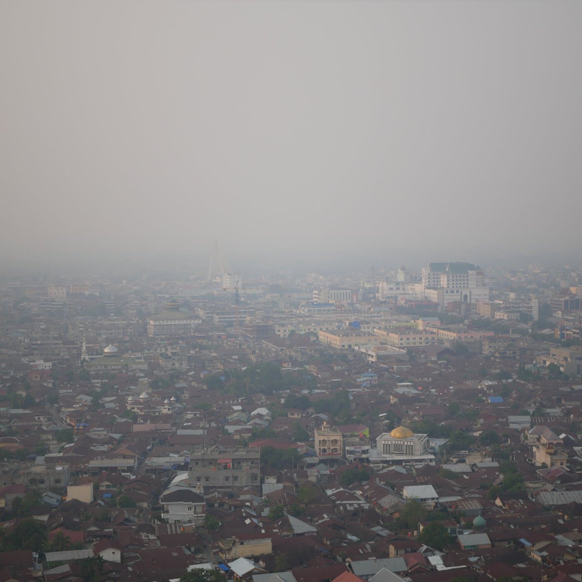 brosispku's tweet photo. 2019 dan kami di Riau masih mengalami bencana asap yang disebabkan korporasi Pembakar Hutan. Please help retweet. Kesehatan jutaan warga terancam. Pemerintah harus lebih keras bertindak! #MelawanAsap #MasihMelawanAsap #SaveRiau https://t.co/h5zvUGxc0J