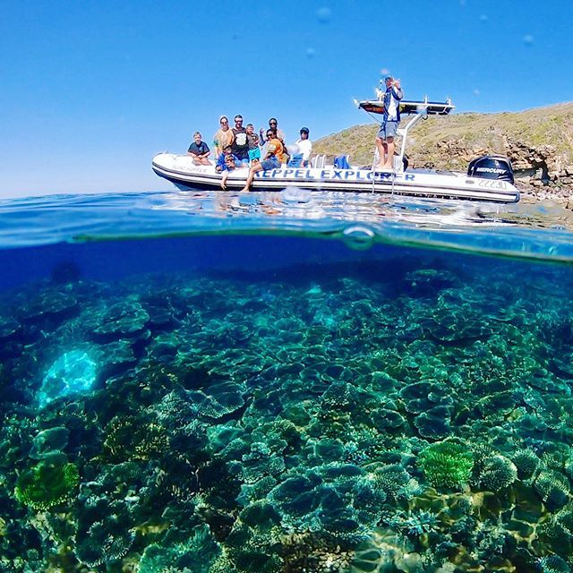 Our small groups get the best of Keppel everyday 👌🏝🐠🤩🙌
.
.
.
.
.
.
.
.
.
#keppelexplorer #visitcapricorn #seeaustralia #thisisqueensland #queensland #southerngreatbarrierreef #greatbarrierreef #greatkeppelisland #keppelisland #yeppoon #islandlife #boat #paradise #beach #…