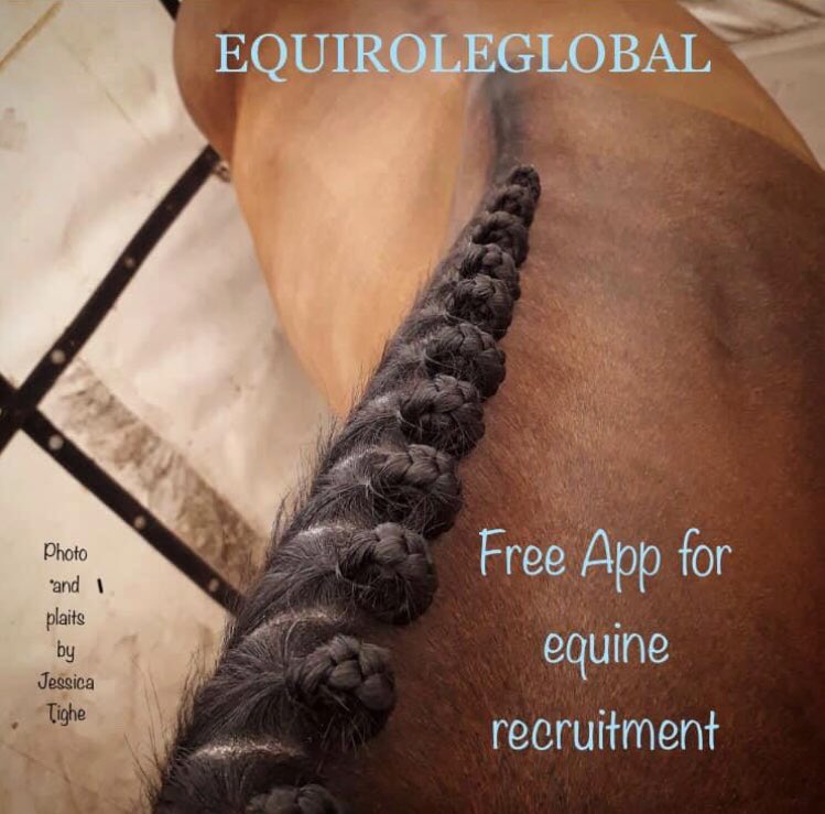 New job roles include  2 show jumping groom positions in Australia, foaling person Ireland, ranch work France, sales in Italy and an instructor in Norway.  Download the app for FREE on iOS/Android for more information. #workwithhorse #equestrianjobs 

equiroleglobal.com