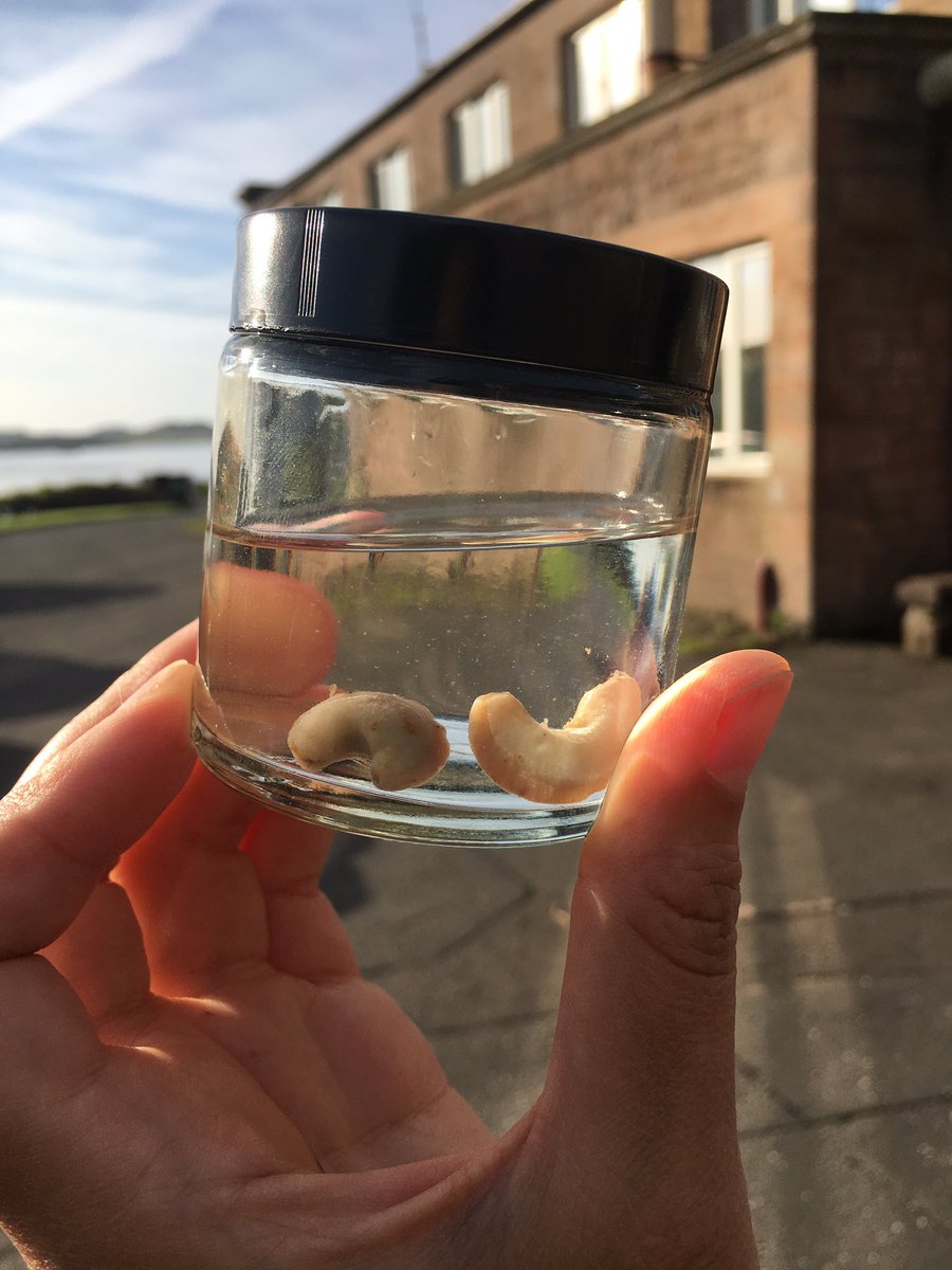 Jane Hallam tweet media