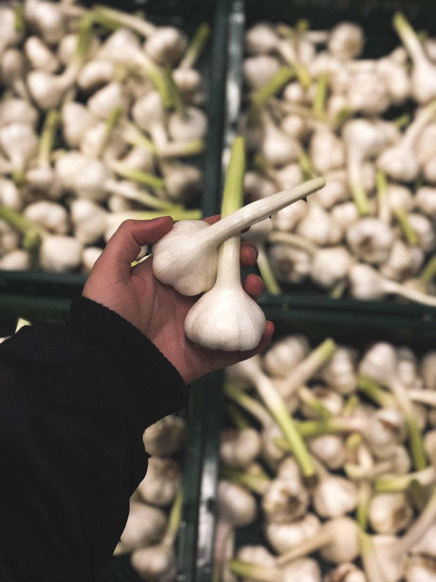 What do you prefer? Dried or fresh garlic? 🤔 #combilo #garlic