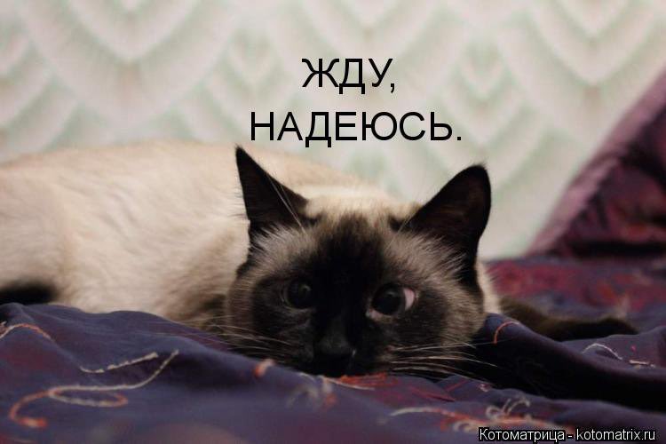 Жду не дождусь открытка, уважение другу