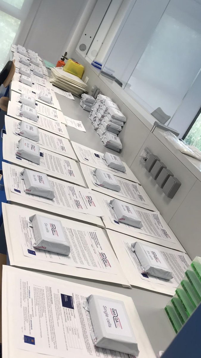 GenQA's tweet photo. GenQA staff have been busy preparing/dispatching samples for the 2019 Preimplantation Genetic Testing for monogenic disorders Stage 2 EQA. Please login to your GenQA account for further details, and submit your results by 18th October!
#EQA #PGT #monogenicdisorders @UKNEQAS https://t.co/AVOzoIKJdF