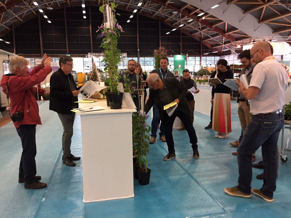 lien_horticole's tweet photo. Salon du végétal 2019 : Palmarès du Concours de nouveautés INNOVERT® 
@SalonDuVegetal #sdv2019 #innovert #concours #nantes https://t.co/vaguwi1aUD https://t.co/PuWY4KZbqU