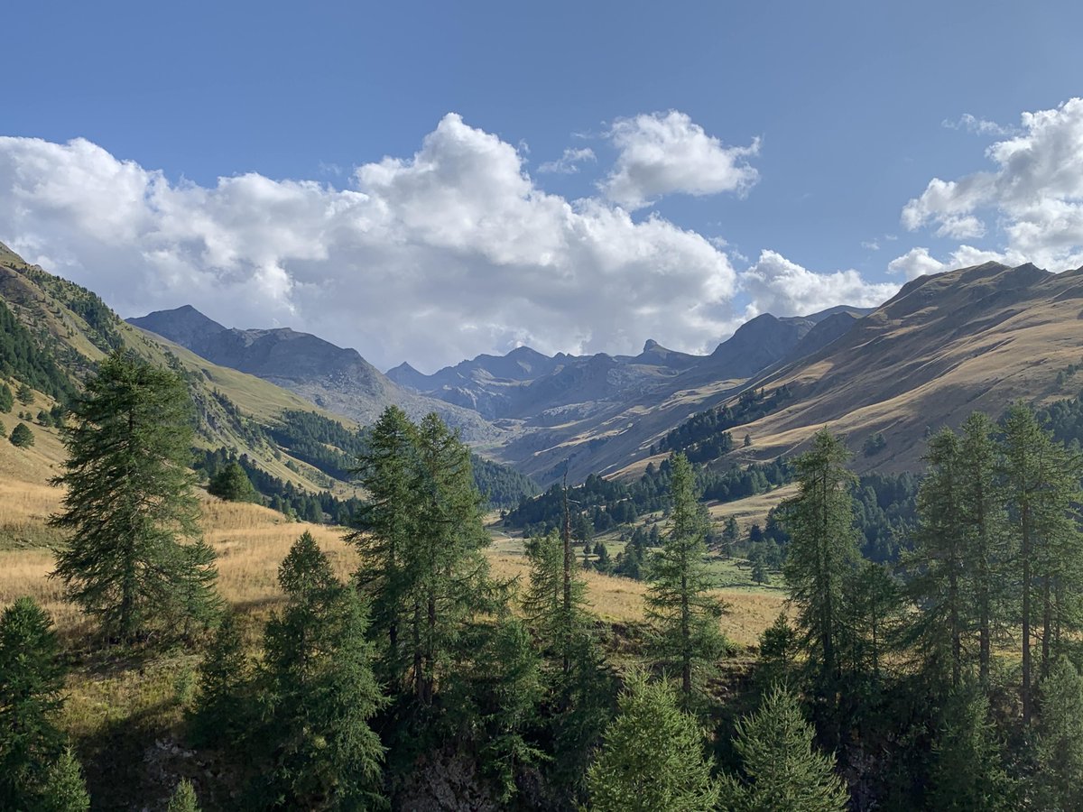 Ubaye - Vallée de Barcelonnette tweet media