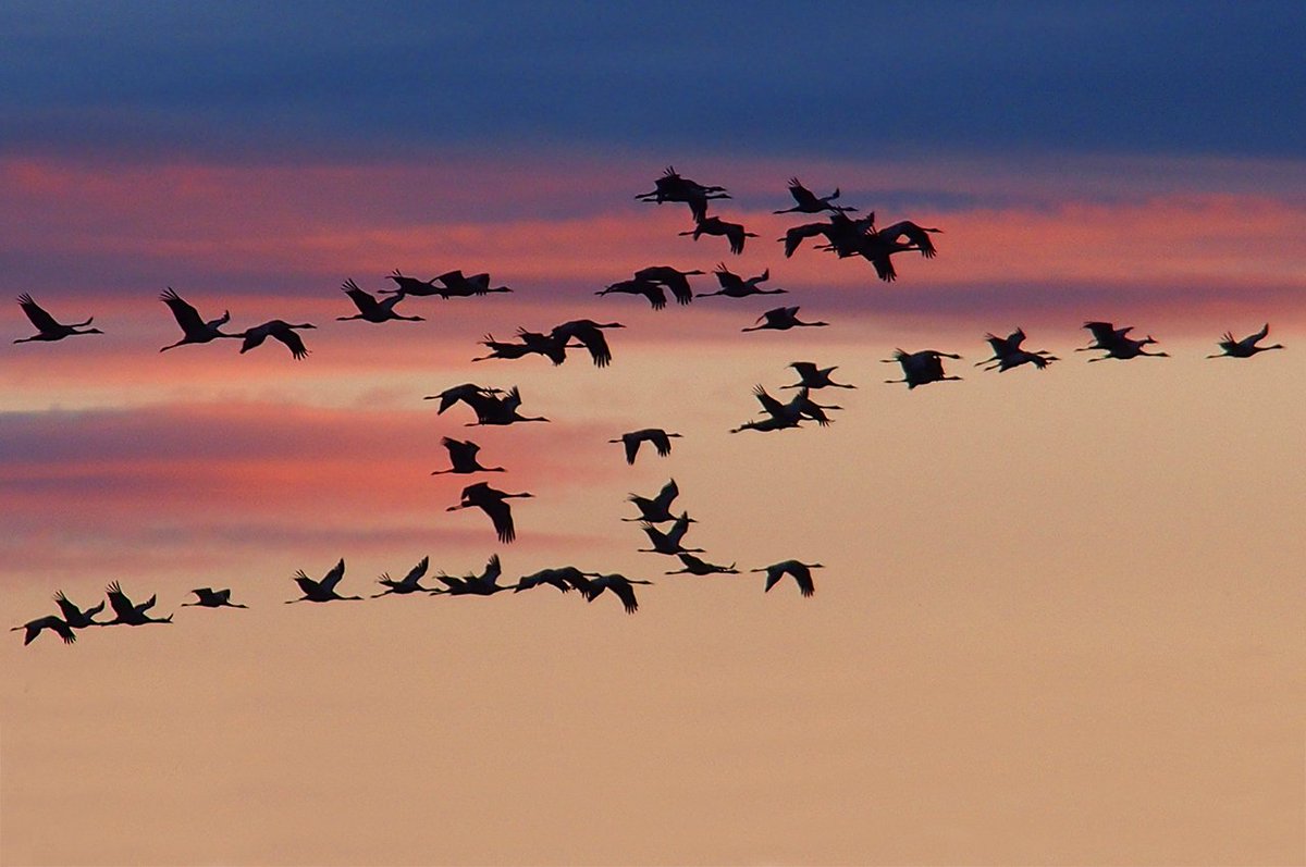 TIMM™ is the complete migration solution that has already helped 15,000+ Tier 1 banking users to switch systems. bit.ly/2Lp5ROj