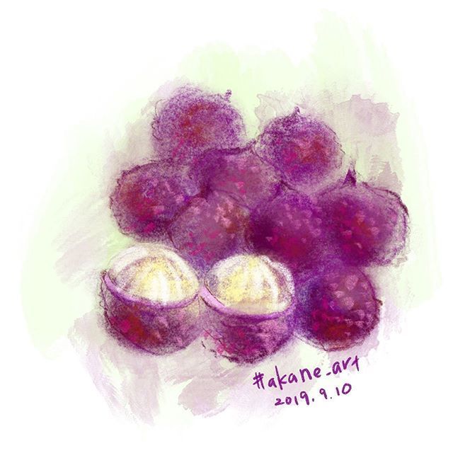 Akane Art Lychee ライチ 南国フルーツ トロピカルフルーツ Tropicalfruit フルーツ Fruit Akane Art イラスト Illustration Drawing Art Painting Procreate 一日一絵 Onesktchaday Onedrawingaday 365drawings T Co Akane Art Lychee ライチ 南国フルーツ トロピカルフルーツ Tropicalfruit フルーツ Fruit Akane Art イラスト Illustration Drawing Art Painting Procreate 一日一絵 Onesktchaday Onedrawingaday 365drawings T Co