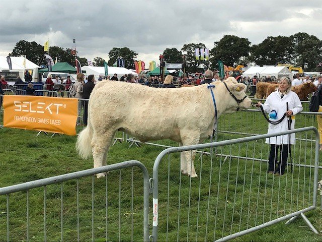 SelektSystem's tweet photo. Congratulations @MoretonShow for a truly spectacular anniversary event! We are so proud to be part of this show each year and help support British livestock farming with our SELEKT sponsorship. #Selektsystem #Threeshirestrophy @SelektSystem #Moretonshow https://t.co/hSNqiopzjy