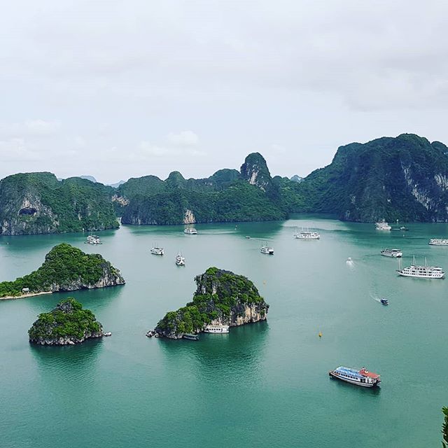 twitchelAU's tweet photo. Beautiful Ha Long Bay. What an experience! https://t.co/qbWV1mOACc https://t.co/9a9lAyb12i